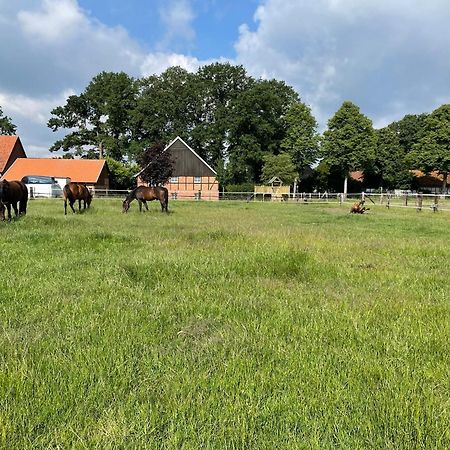 Landhaus Am Esch Warendorf Eksteriør billede