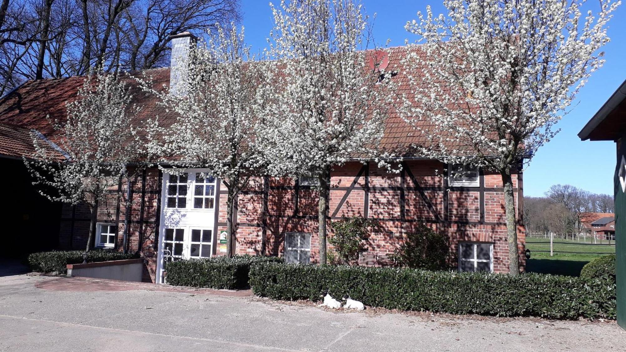 Landhaus Am Esch Warendorf Eksteriør billede